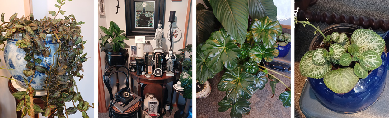 Seasonal bouquets from Blooming In Retro in Darfield offering same-day delivery